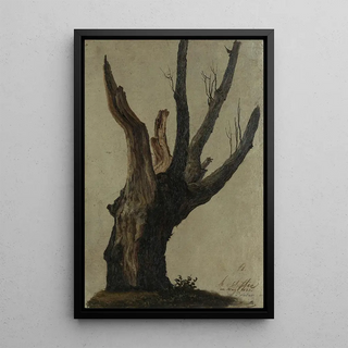 Anton Schiffer - Baumstudie im Prater.webp