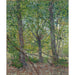 Reproduction of the painting Trees - Vincent van Gogh