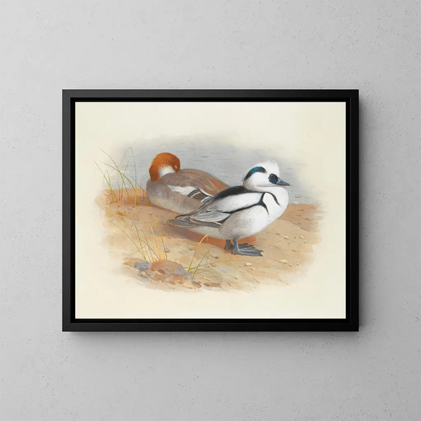 A pair of herons - Archibald Thorburn — framed artwork on a wall