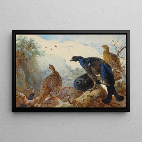 Grote Tetrao - Archibald Thorburn — ingelijst kunstwerk aan de muur