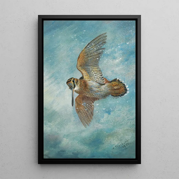 Reproductie van het schilderij Prijs in een sneeuwstorm Krakeend - Archibald Thorburn