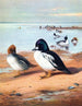Eye of Gold - Archibald Thorburn — artwork view