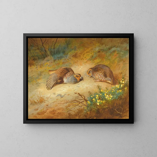 Perdrix grise - Archibald Thorburn — ingelijst kunstwerk aan de muur