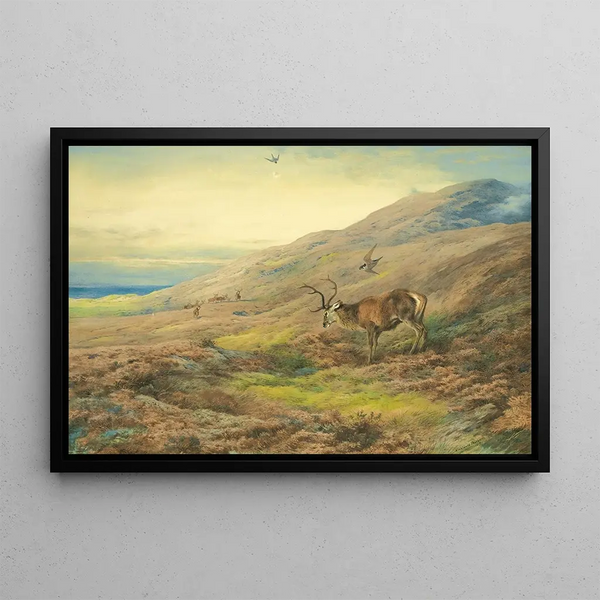 in de Hooglanden, roodhert belaagd door een paar vale gieren - Archibald Thorburn — ingelijst kunstwerk aan de muur