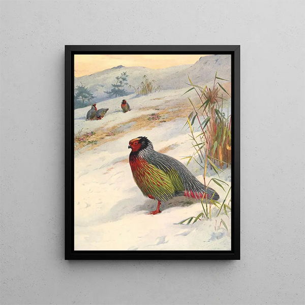 van het Perdrix de sang de Kusers-schilderij - Archibald Thorburn — ingelijst kunstwerk aan de muur