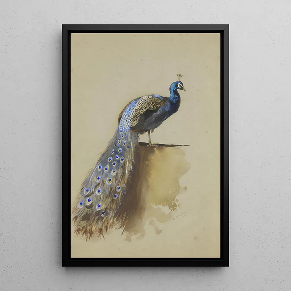 Reproductie van het schilderij Pauw - Archibald Thorburn