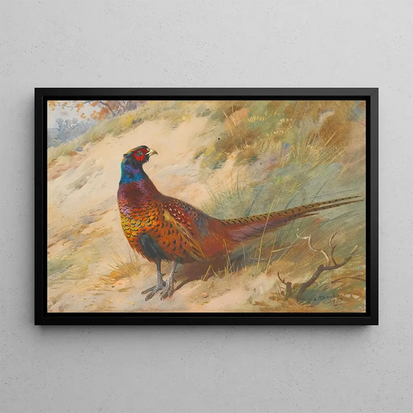 Fazant - Archibald Thorburn — ingelijst kunstwerk aan de muur