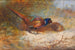 Fazanten - Archibald Thorburn — weergave van het kunstwerk