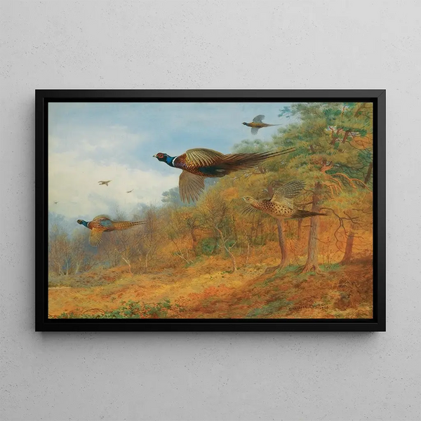 Fazanten die uit het dek komen - Archibald Thorburn — ingelijst kunstwerk aan de muur