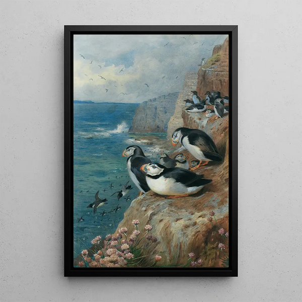 Reproductie van het schilderij van Macareux en pinguïns torda - Archibald Thorburn