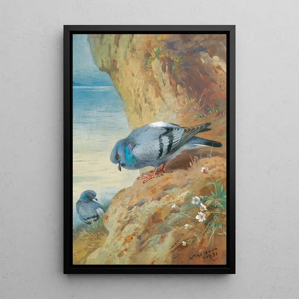 Duiven bisets - Archibald Thorburn — ingelijst kunstwerk aan de muur