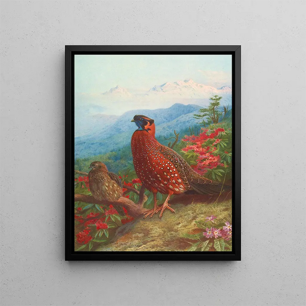 De tragopan satyr - Archibald Thorburn — ingelijst kunstwerk aan de muur