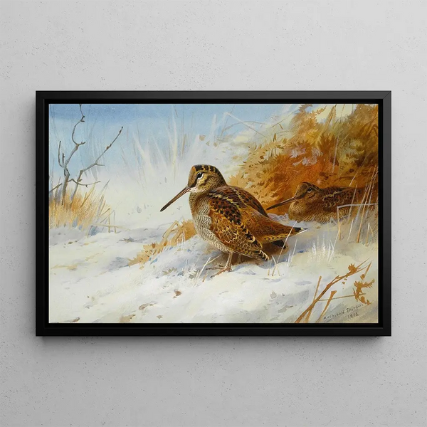 Winterbécasse - Archibald Thorburn — ingelijst kunstwerk aan de muur