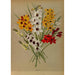 Reproductie van het schilderij Ixia Hybride - Arentina Hendrica Arendsen