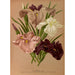 Reproduction of the painting Iris Kaempferi Var - Arentina Hendrica Arendsen