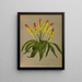 Lachenalia Pendula 2 Lachenalia Quaoricolor - Arentina Hendrica Arendsen — ingelijst kunstwerk aan de muur