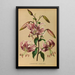 Lys speciosum rubrum - Arentina Hendrica Arendsen — ingelijst kunstwerk aan de muur