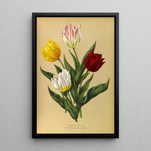 Reproductie van het schilderij Tulpen eenvoudig Duc Van Tholl - Arentina Hendrica Arendsen