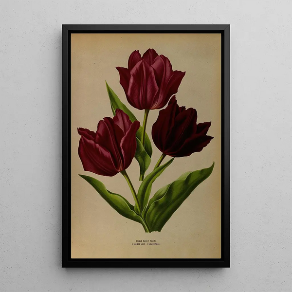 Reproductie van het schilderij Tulpen eenvoudige vroege Van Der Neer Wouwerman - Arentina Hendrica Arendsen
