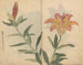 schetsboek Pl002 - Ariyoshi Kondo — weergave van het kunstwerk