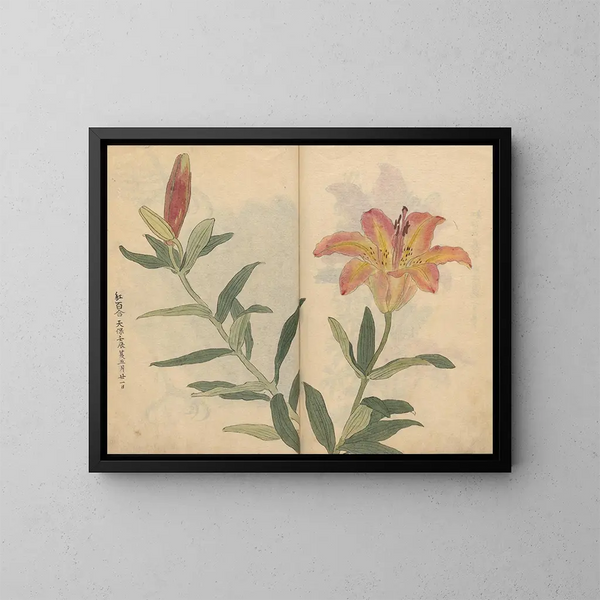 Sketchbook Pl002 - Ariyoshi Kondo — framed artwork on a wall