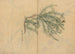 schetsboek Pl003 - Ariyoshi Kondo — weergave van het kunstwerk