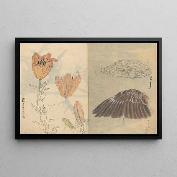 Ariyoshi Kondo - Sketchbook Pl004.webp