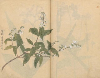 Ariyoshi Kondo - Sketchbook Pl005.webp