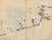 schetsboek Pl006 - Ariyoshi Kondo — weergave van het kunstwerk