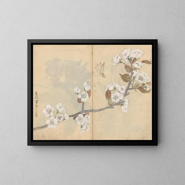 Sketchbook Pl006 - Ariyoshi Kondo — framed artwork on a wall