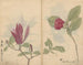 schetsboek Pl008 - Ariyoshi Kondo — weergave van het kunstwerk