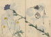 Schetsboek Pl013 - Ariyoshi Kondo — weergave van het kunstwerk