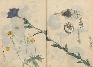 Ariyoshi Kondo - Sketchbook Pl013.webp