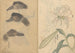 schetsboek Pl014 - Ariyoshi Kondo — weergave van het kunstwerk