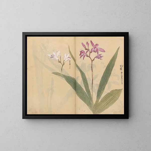Sketchbook Pl015 - Ariyoshi Kondo — framed artwork on a wall