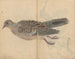 schetsboek Pl016 - Ariyoshi Kondo — weergave van het kunstwerk