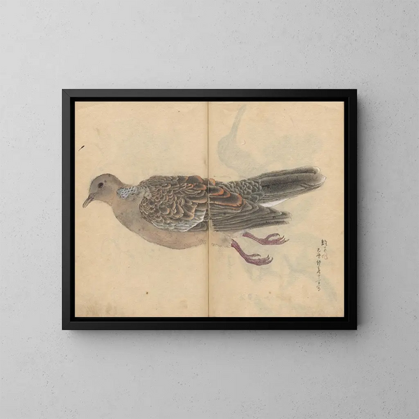 Sketchbook Pl016 - Ariyoshi Kondo — framed artwork on a wall
