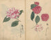 schetsboek Pl017 - Ariyoshi Kondo — weergave van het kunstwerk