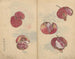 schetsboek Pl018 - Ariyoshi Kondo — weergave van het kunstwerk