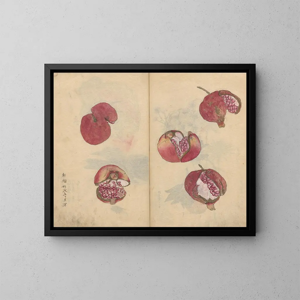 Sketchbook Pl018 - Ariyoshi Kondo — framed artwork on a wall