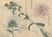 Schetsboek Pl019 - Ariyoshi Kondo — weergave van het kunstwerk
