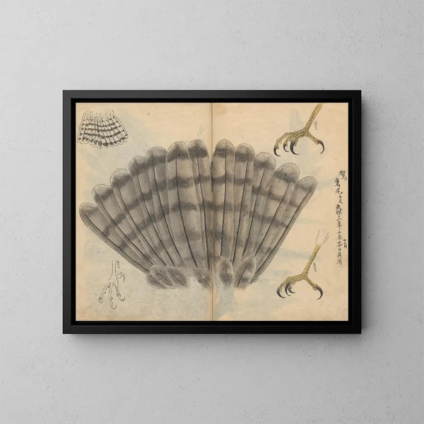Sketchbook Pl021 - Ariyoshi Kondo — framed artwork on a wall