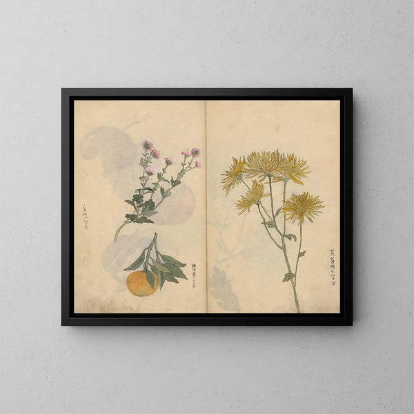 Sketchbook Pl027 - Ariyoshi Kondo — framed artwork on a wall