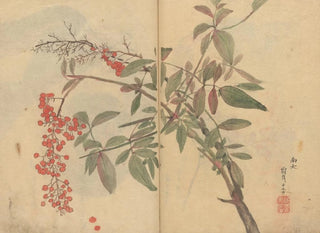 Ariyoshi Kondo - Sketchbook Pl029.webp