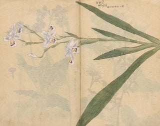 schetsboek Pl031 - Ariyoshi Kondo — weergave van het kunstwerk