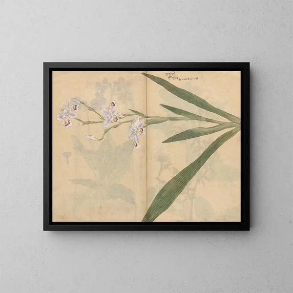 Sketchbook Pl031 - Ariyoshi Kondo — framed artwork on a wall