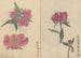 Schetsboek Pl032 - Ariyoshi Kondo — weergave van het kunstwerk