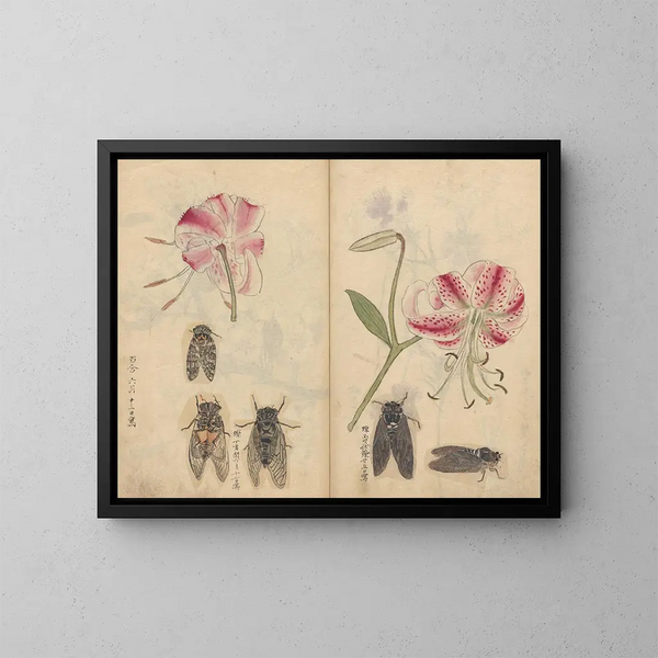 Sketchbook Pl044 - Ariyoshi Kondo — framed artwork on a wall