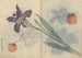 schetsboek Pl045 - Ariyoshi Kondo — weergave van het kunstwerk