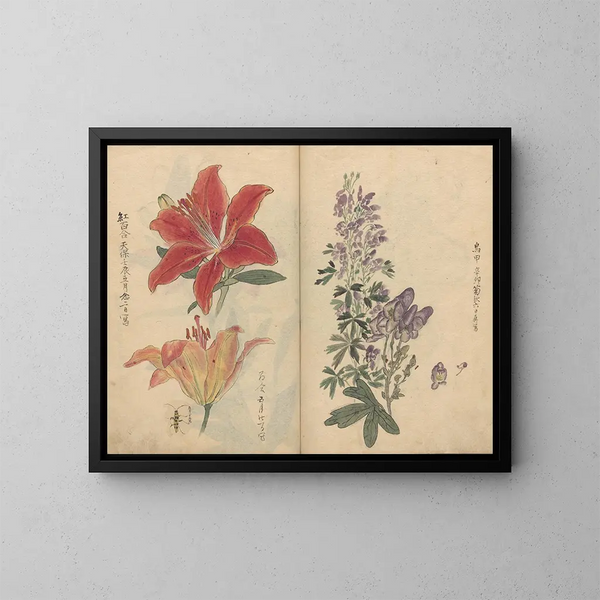 Sketchbook Pl046 - Ariyoshi Kondo — framed artwork on a wall